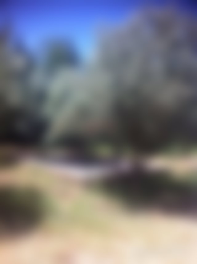 أرض خصبة 8268 م² للبيع بطريق أوريكا مراكش — 2