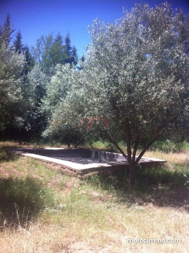 Vente Terrain nu à route d'ourika — 2
