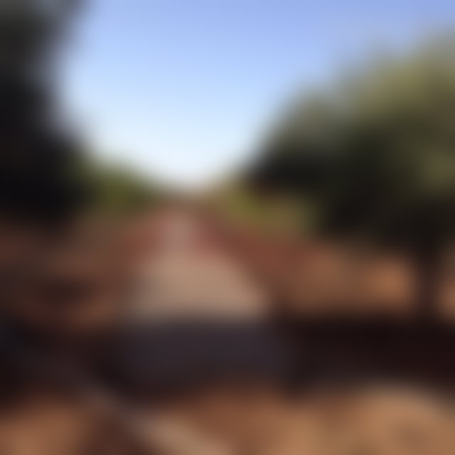 أرض خصبة 8268 م² للبيع بطريق أوريكا مراكش — 3