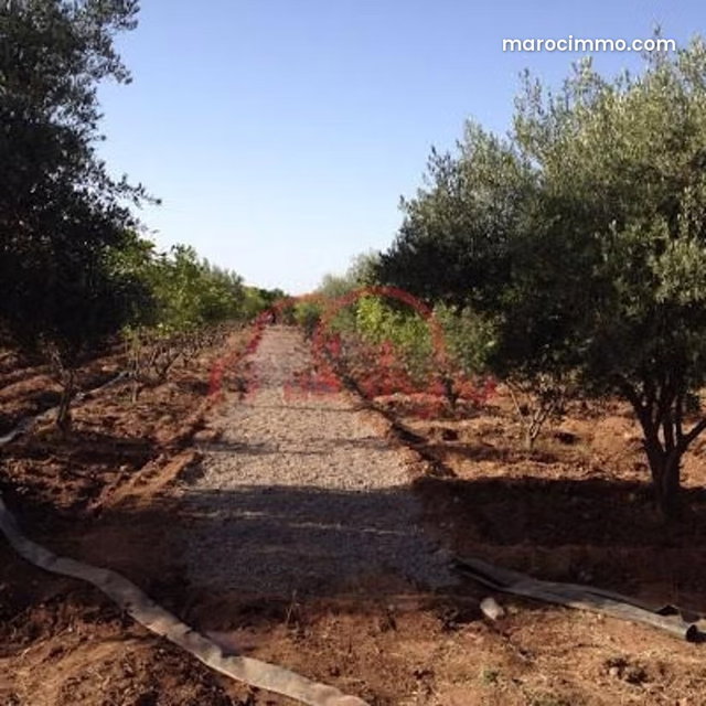 Vente Terrain nu à route d'ourika — 3