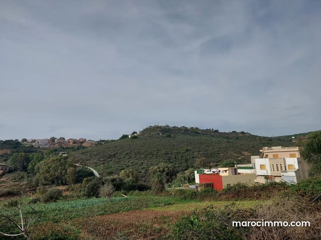 Terrain 4000 m² à Cap Spartel Tanger avec vue panoramique — Tanger