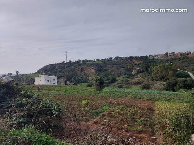 Terrain titré 4000 m2 Zone Villa à Cape Spartel — 2