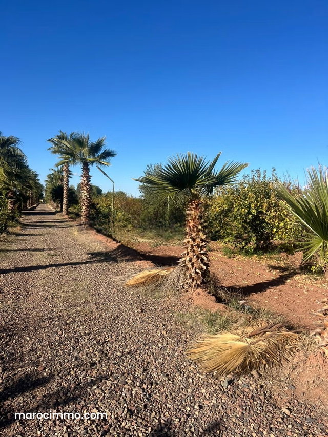 Farm on Fes Road 6 hectares — 2