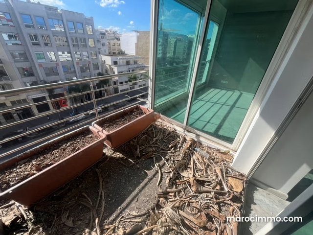 Beautiful Apartment for Sale in Racine. Total Area 248 m². With Elevator and Terrace — 5