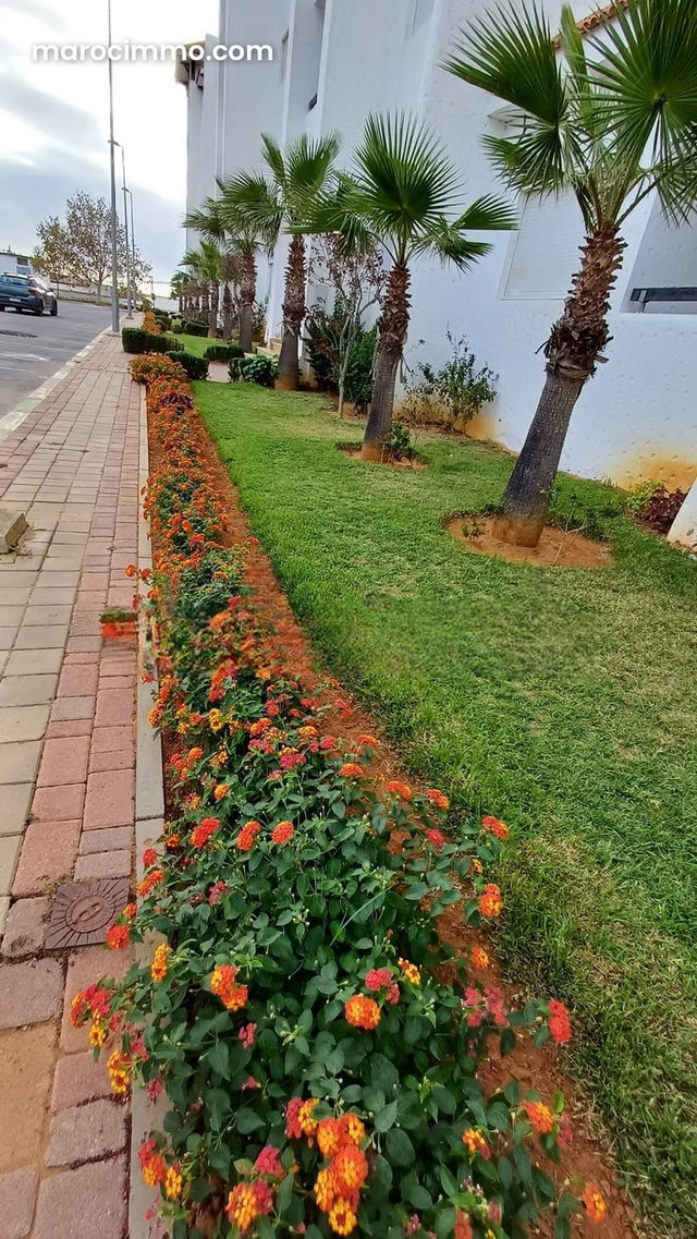 Asilah marina golf projet touristique appartement à vendre — 4