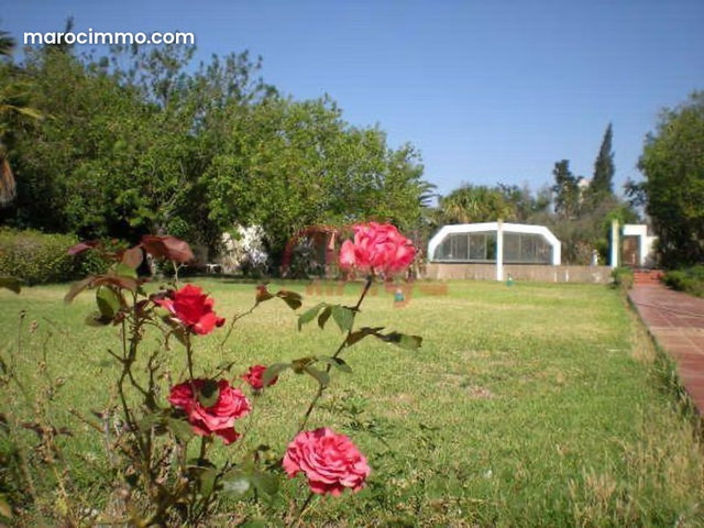 Vente Ferme à Safi — 3