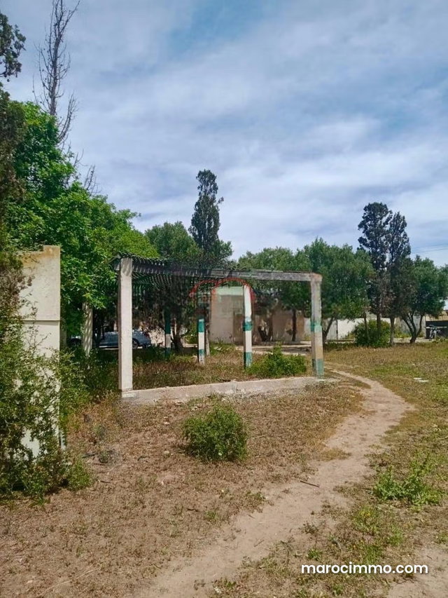 Vente Ferme à Safi — 5