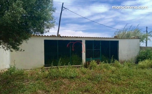 Vente Ferme à Safi — 2