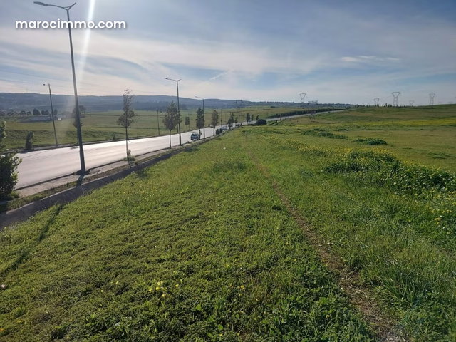 Beau Terrain titré 1.5 hectares à coté de La Gare routière — 4