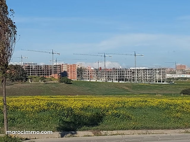 Beau Terrain titré 1.5 hectares à coté de La Gare routière — 3
