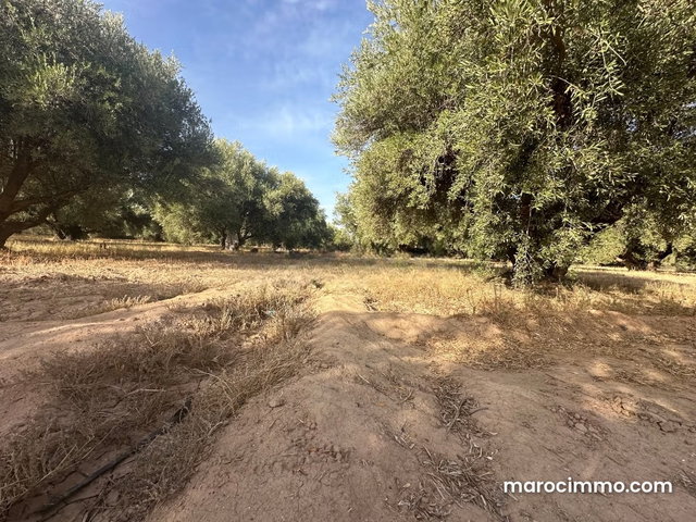 Land for sale on Route de Fez. 10,000 m² surface. — 2