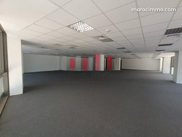 Plateau de 357m2 à la location Marina — 3