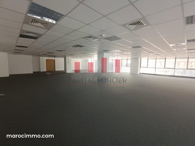 Plateau de 357m2 à la location Marina — 2