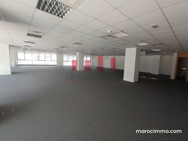 Plateau de 357m2 à la location Marina — 5