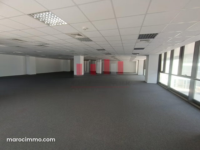 Plateau de 357m2 à la location Marina — 4
