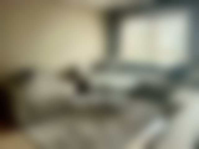 186 sqm Apartment, 4 Bedrooms, Racine, Casablanca for Rent — 2