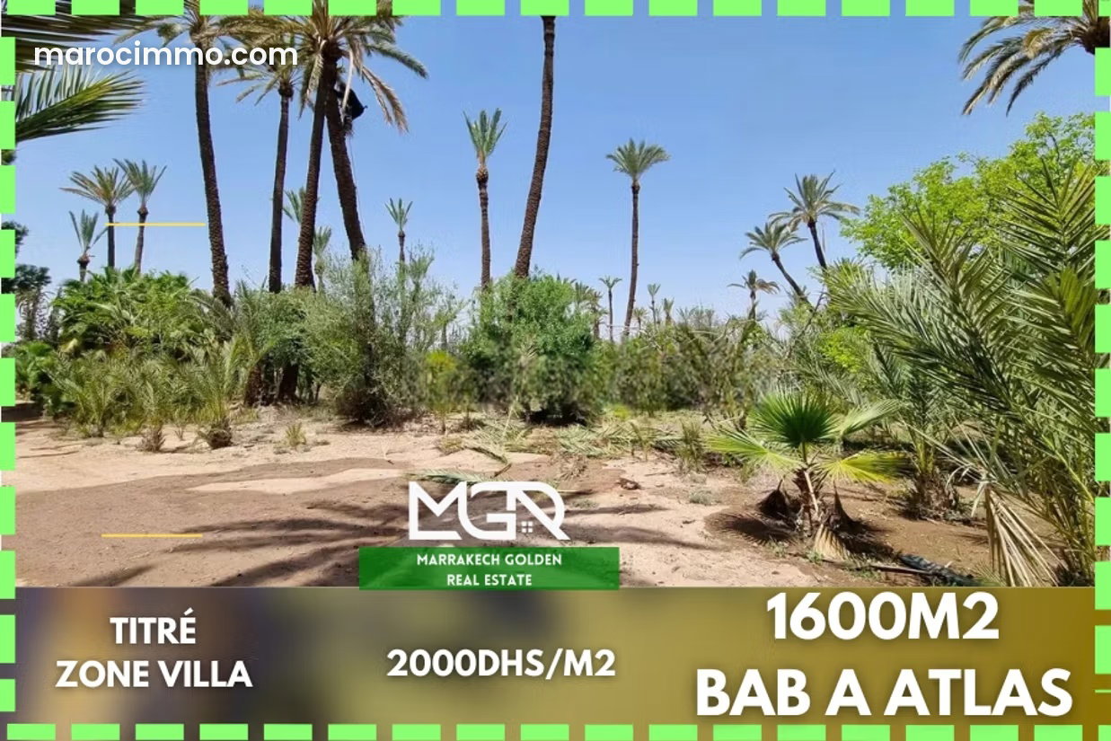 1,600 m² Plot for Sale in the Palmeraie, Marrakech — Marrakesh