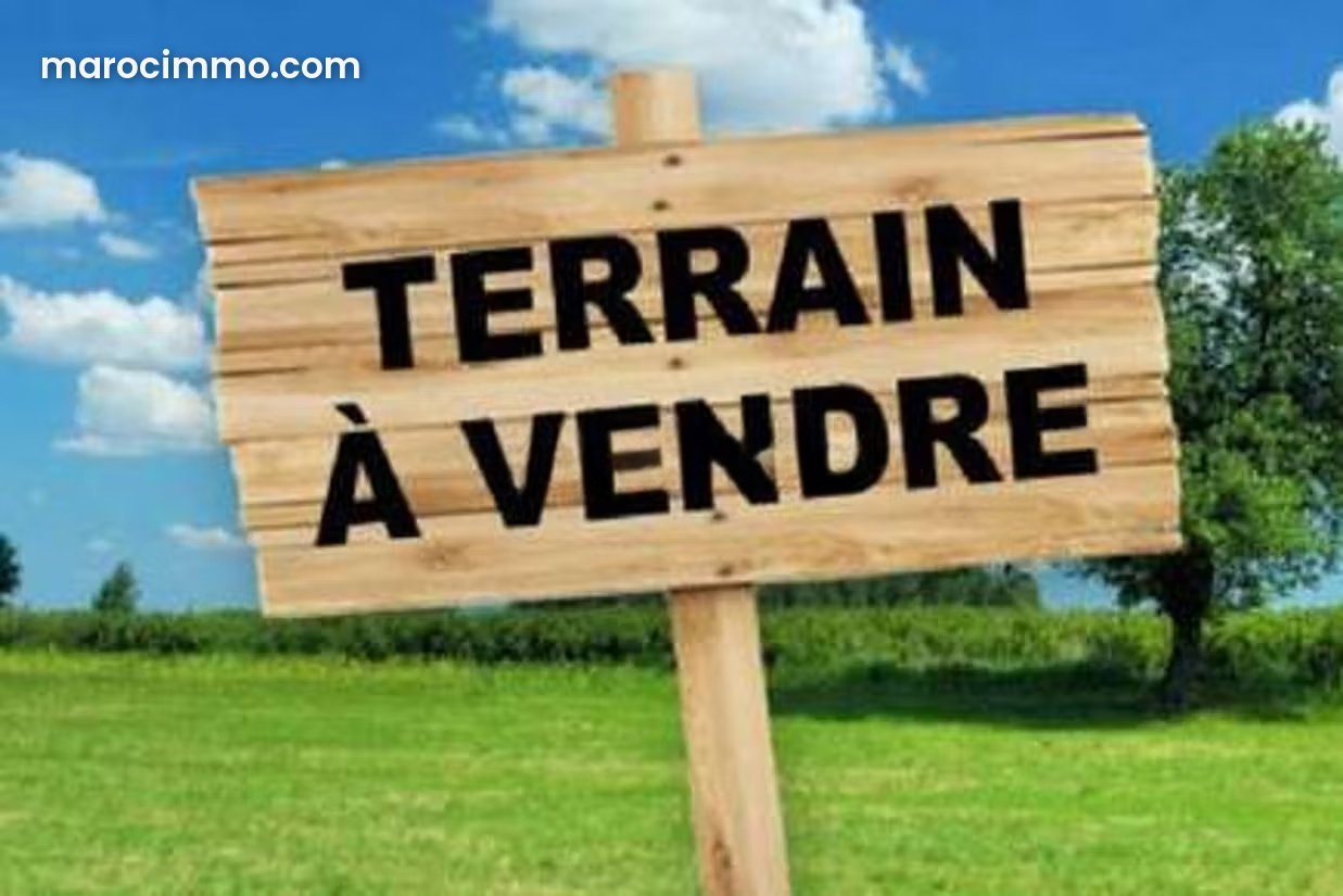 1-Hectare Plot for Sale in Palmeraie, Marrakech — Marrakesh