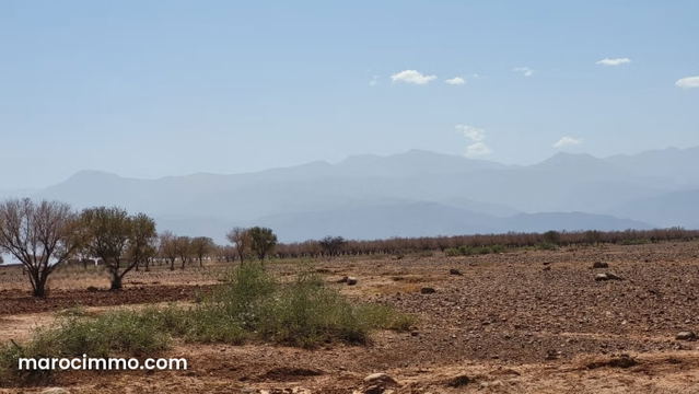 12 hectares titré route ourika km 21 bon prix — مراكش