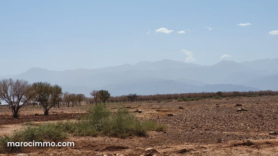 12 hectares titré route ourika km 21 bon prix