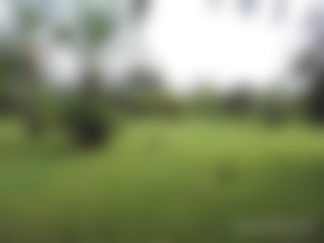 Villa 940 m² sur 1,1 hectare, Route de Ouarzazate, Marrakech — 4