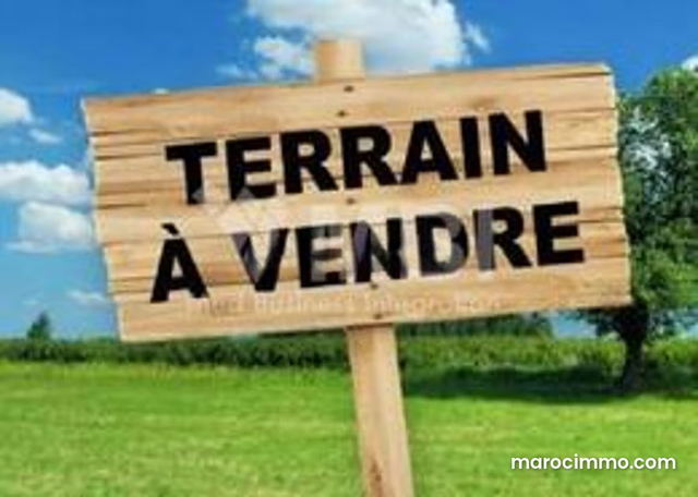 Terrain à vendre 146 m² Had Soualem — حد السوالم
