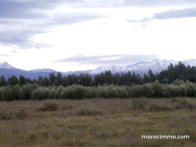 Farm for sale on Route de l'Ourika. Surface of m² — 5