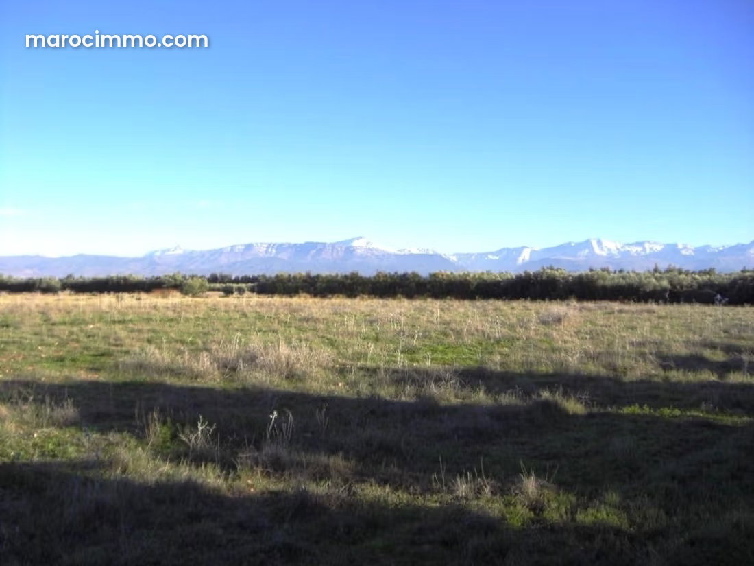 32-hectare farm on Ourika Road, Marrakech, fully equipped and productive — Marrakesh