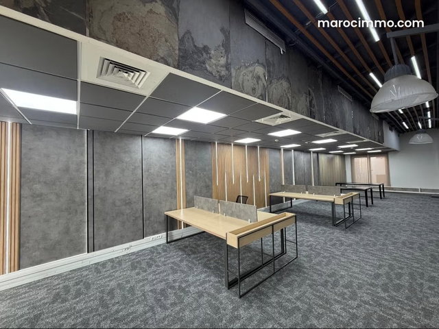 Plateau de bureau duplex 280 m² Paranfa — 2