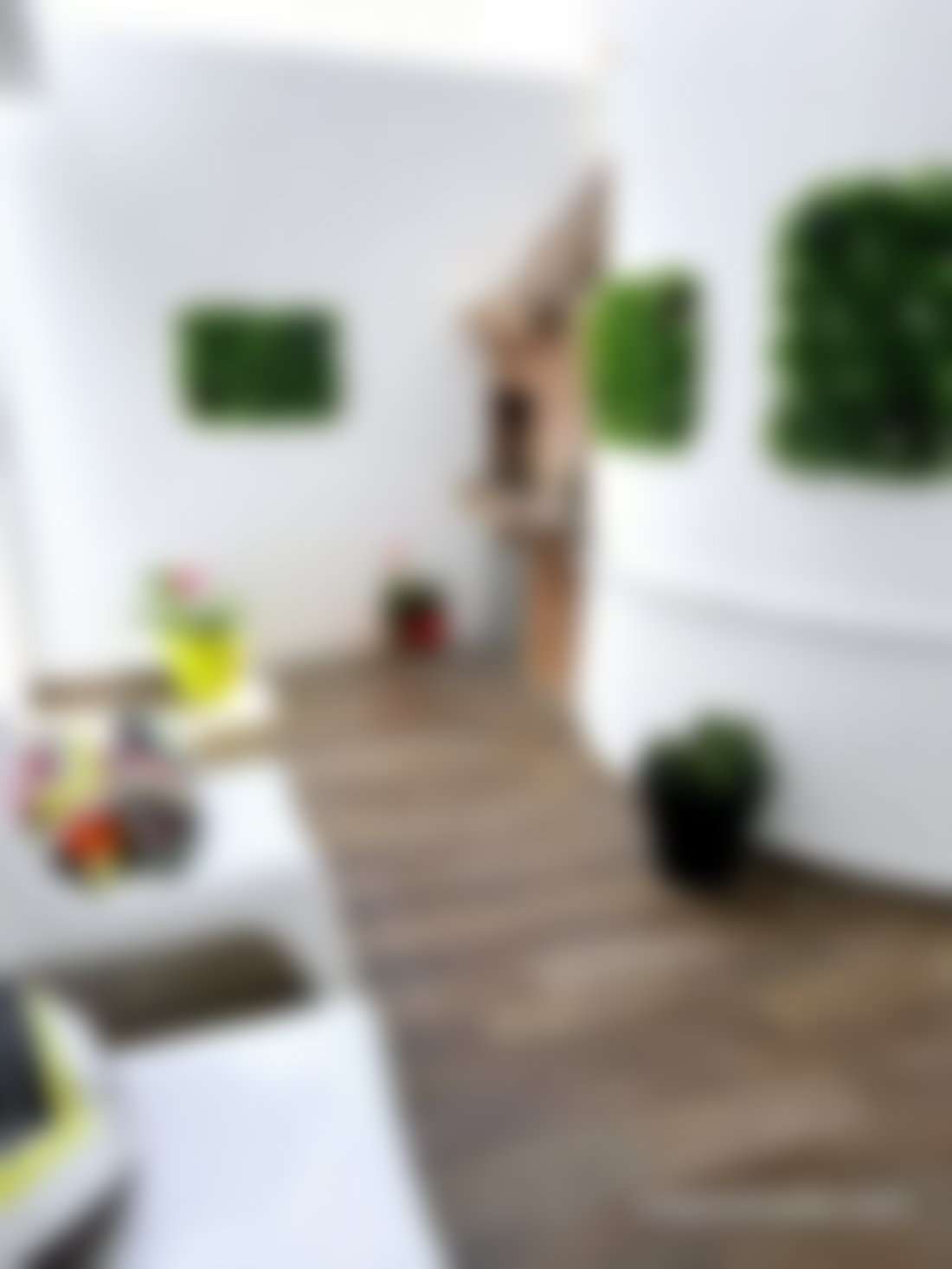 One-Bedroom Apartment for Rent in Maarif, Casablanca