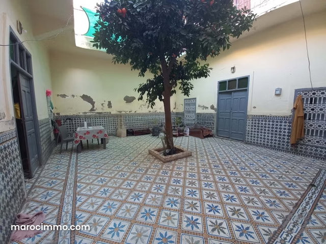 DOUAR GRAOUA riad à rénover, terrain adjacent — 2