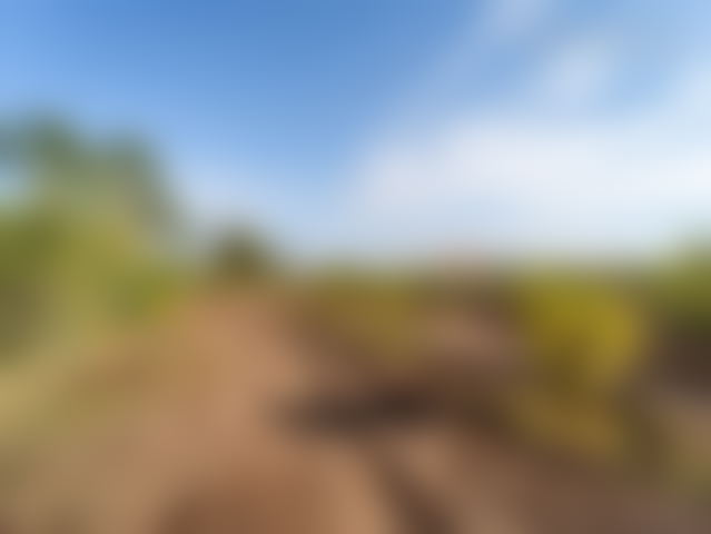 أرض صالحة للبناء على طريق ورزازات في مراكش — مراكش