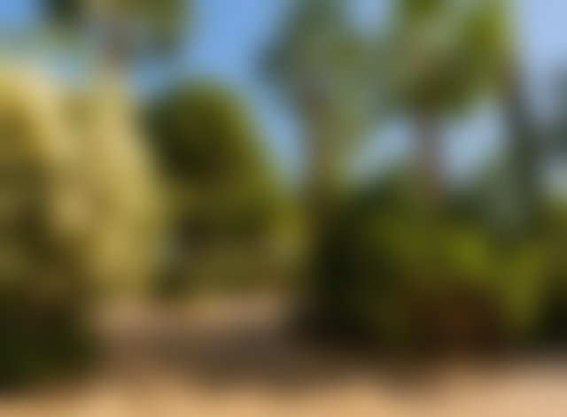 فيلا فاخرة للبيع بطريق ورزازات مراكش — 3