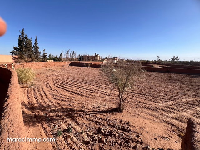 À Vendre: Terrain titré d’Exception Idéal pour construire une villa — 5