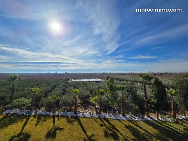 Magnifique ferme titrée 2Hectares Rt de fes — 2