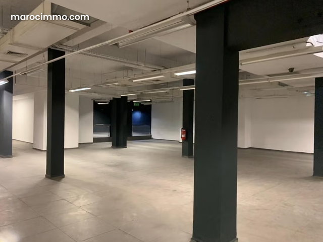Local commercial premium au triangle d’or 1041m2 — 3