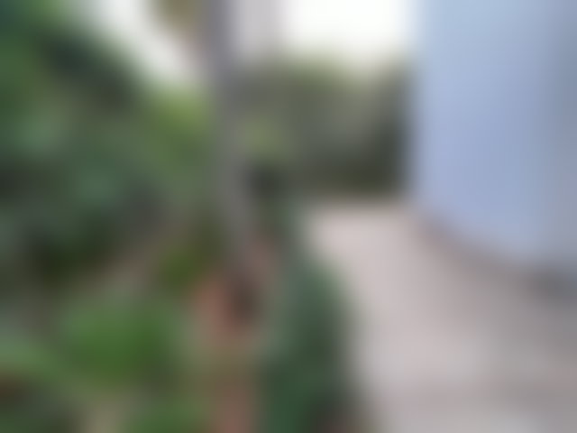 750 sqm Villa with Pool, El Manar El Hank, Casablanca — 4