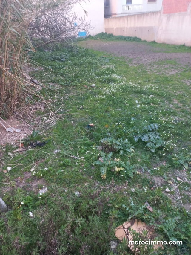 Terrain 580 m² à vendre à Nouinouich — 3