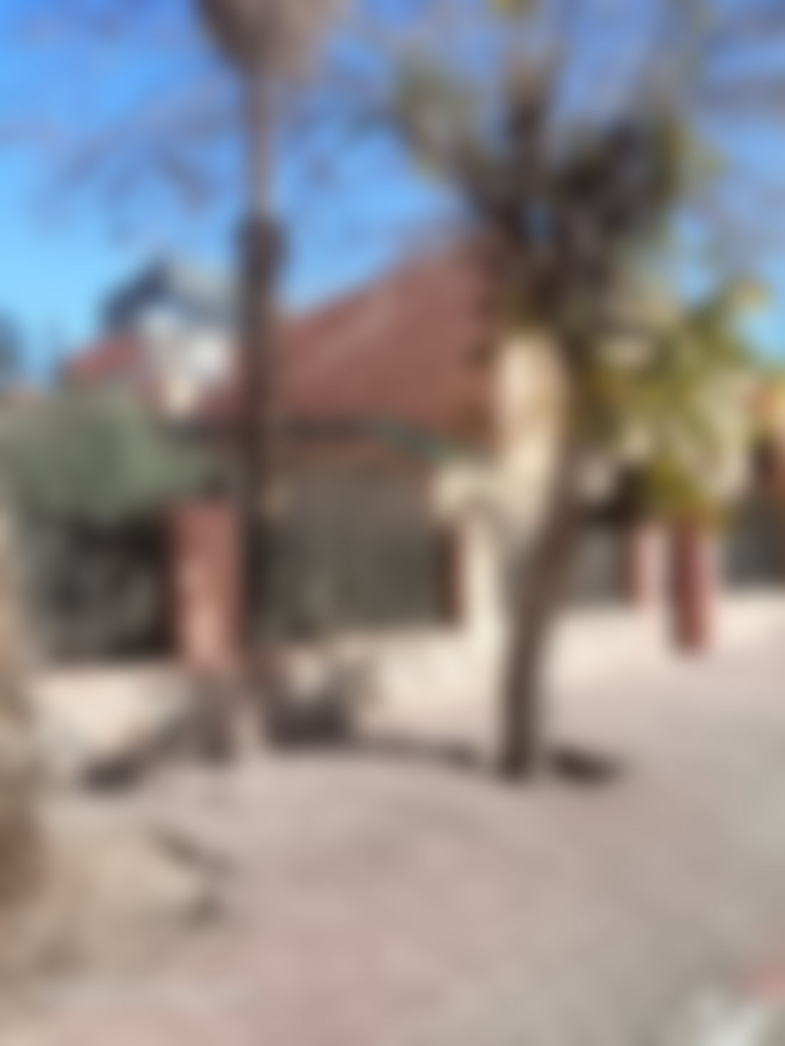 High-end villa for sale in Gueliz, right in the heart of Marrakech