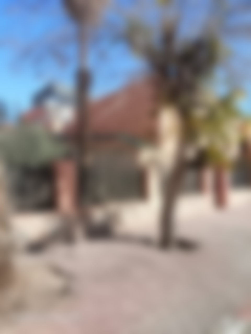 High-end villa for sale in Gueliz, right in the heart of Marrakech