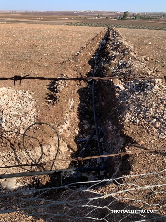 Deux terrains agricoles mitoyens 3,5 hectares — 4