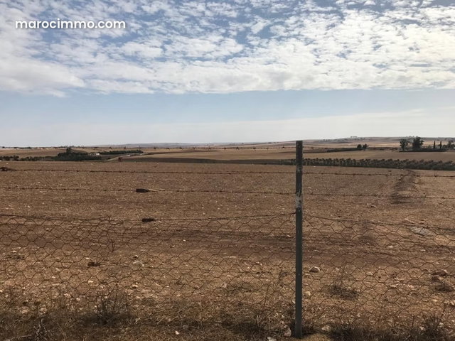 Deux terrains agricoles mitoyens 3,5 hectares — 2