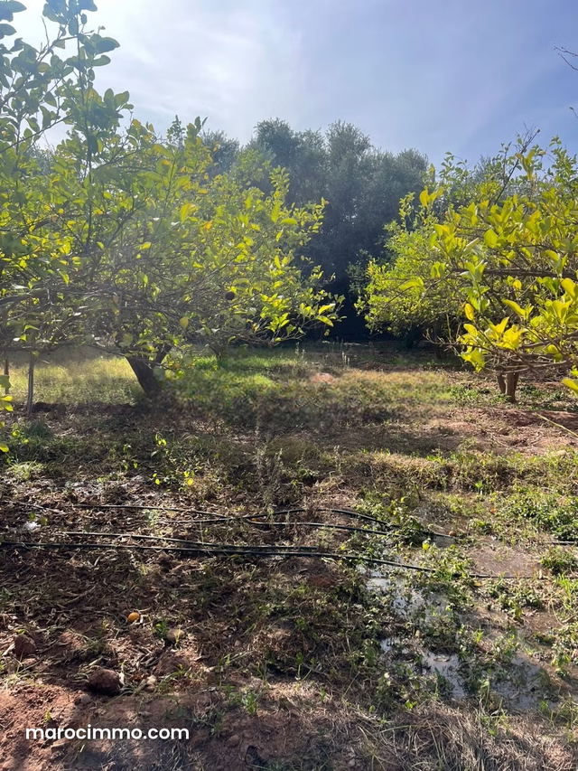 Ferme a vendre sur la route de fes A NE PAS RATER — Marrakech