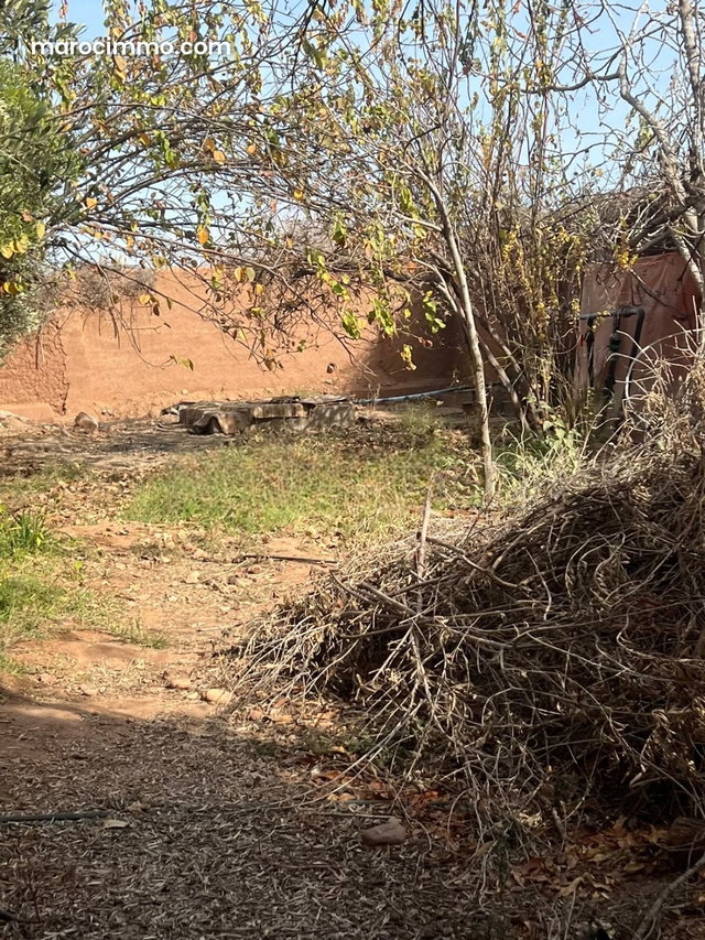 Farm for Sale on the Fes Road DON'T MISS OUT — 4