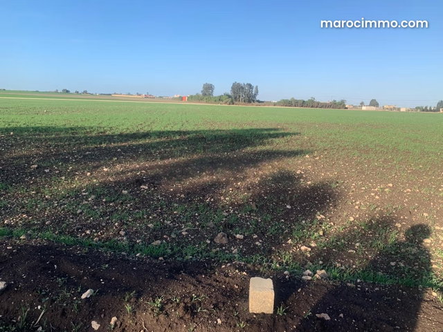 Sale Agricultural Land in Berrechid — 2