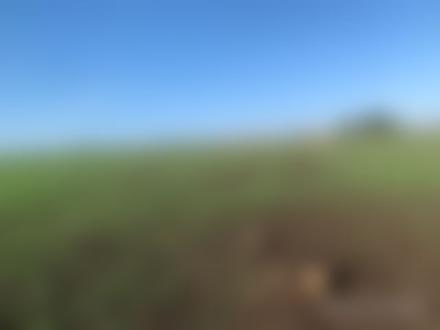 12,500 m² Agricultural Land for Sale in Berrechid — Berrechid
