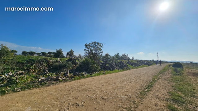 Terrain de 95.000 m² gros potentiel près Hotel Hilton Prix 255 dh / m² — 4