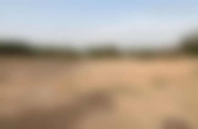 4,900 m² Plot in Californie, Casablanca: A Rare Opportunity — Casablanca