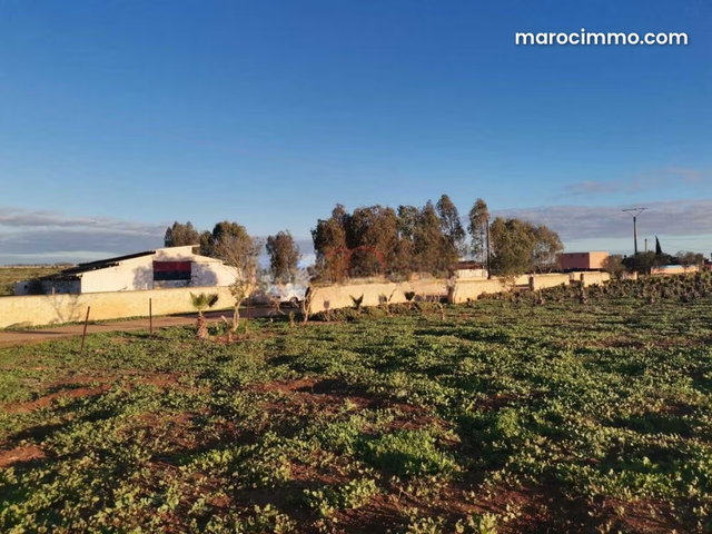 Vente Ferme à Tit Mellil — 2