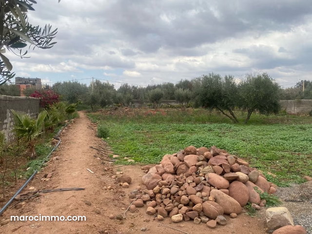 Vente Terrain agricole à route d'ourika — 2